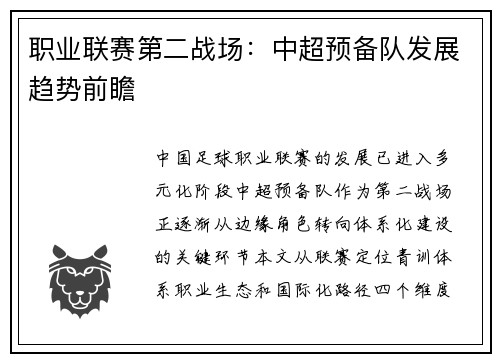 职业联赛第二战场：中超预备队发展趋势前瞻