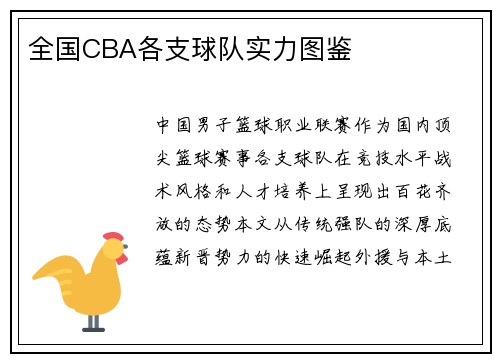 全国CBA各支球队实力图鉴